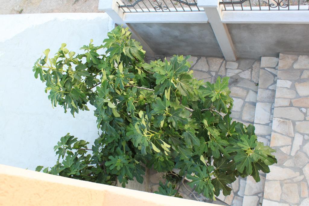 Apartments Adriatika Budva Exterior photo